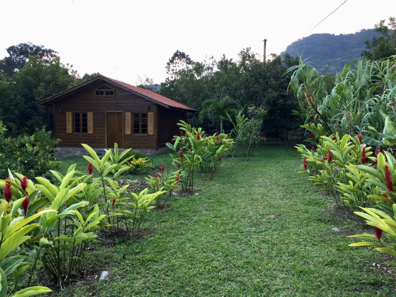 Hospedaje En El Lago San Pedro Sula Eksteriør billede
