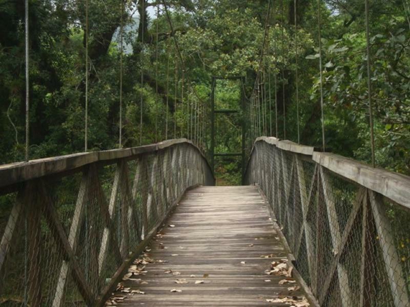 Hospedaje En El Lago San Pedro Sula Eksteriør billede
